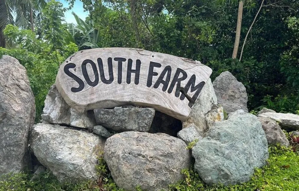 South Farm Panglao Bohol